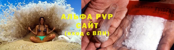 прущие грибы Верея