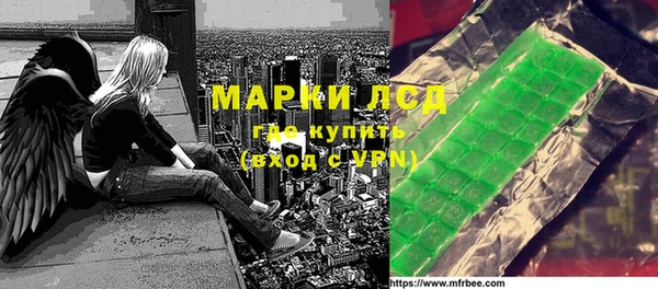 прущие грибы Верея