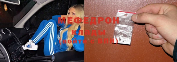 прущие грибы Верея