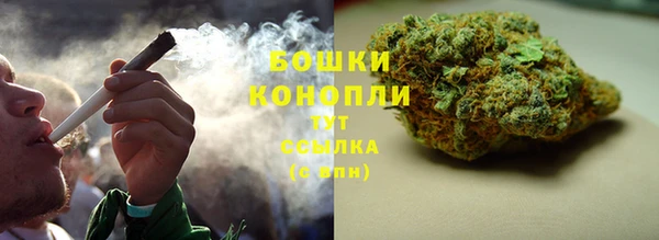 прущий лед Бородино
