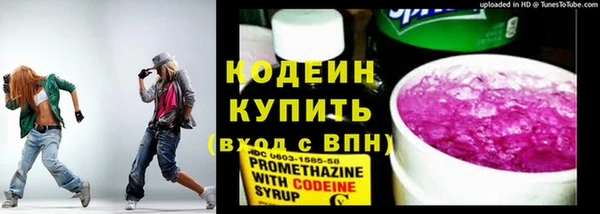 прущие грибы Верея