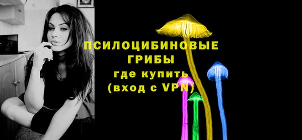 прущие грибы Верея