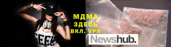 прущие грибы Верея
