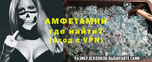 прущие грибы Верея