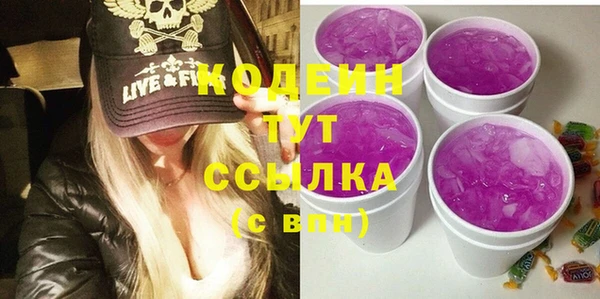 прущие грибы Верея