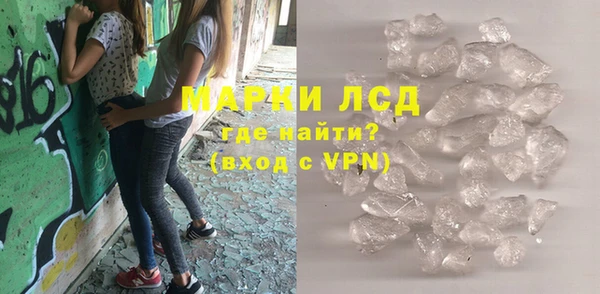 прущие грибы Верея