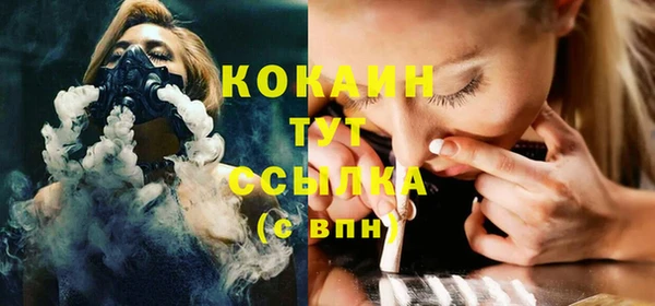 прущие грибы Верея