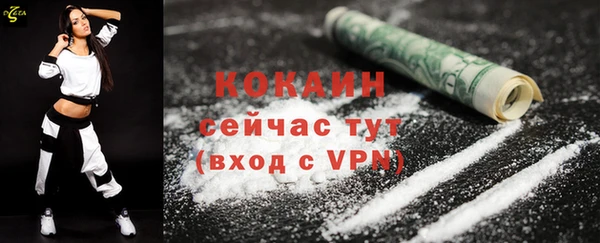 прущие грибы Верея