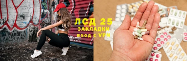 прущие грибы Верея