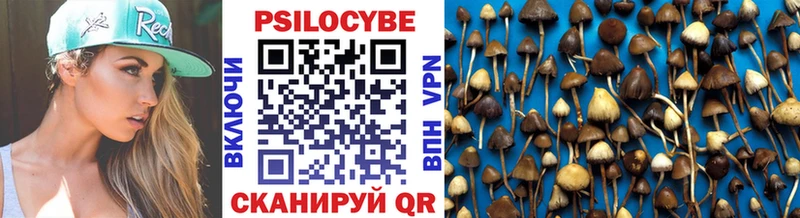 Галлюциногенные грибы прущие грибы Купить где Орлов